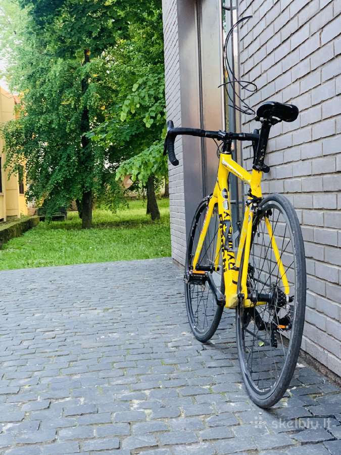 Bianchi Intrepida (full carbon, L Dydis) - nuotraukos Nr. 2