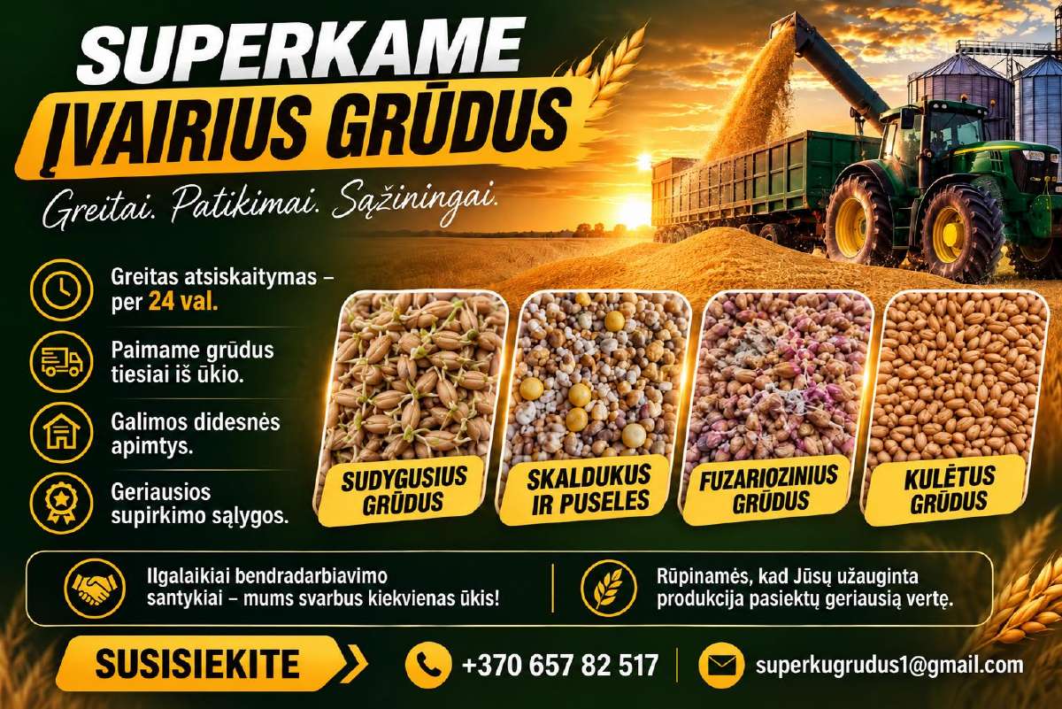 Superkame nekondicinius grūdus - nuotraukos Nr. 2