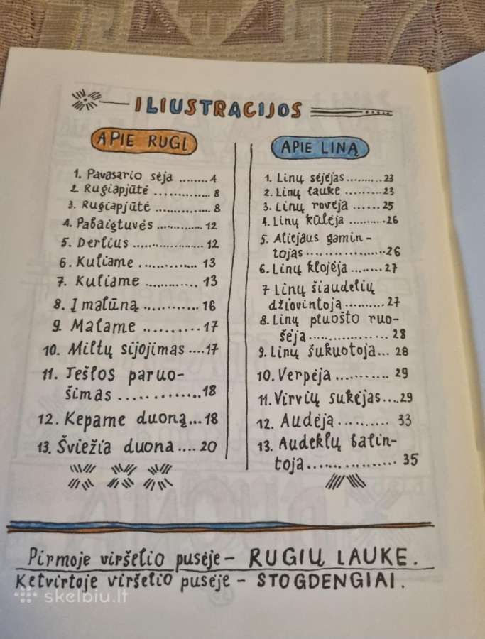 Apie Rugį ir Liną - nuotraukos Nr. 4