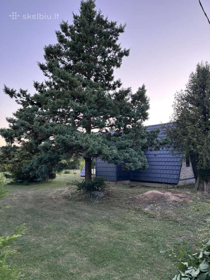 Sodyba s/b Inkaras prie Zatyšių karjero (11 arų) - nuotraukos Nr. 5