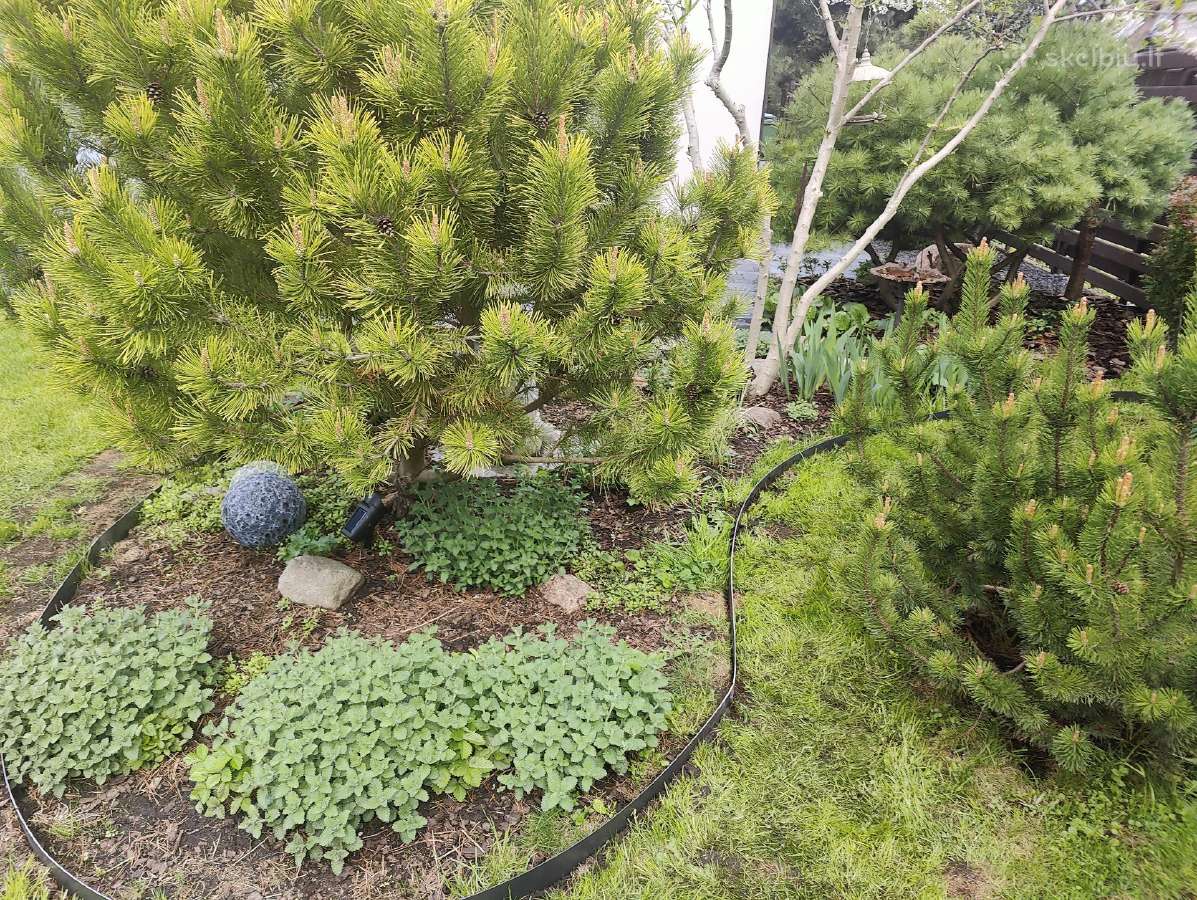 Suvirintojas - nuotraukos Nr. 17