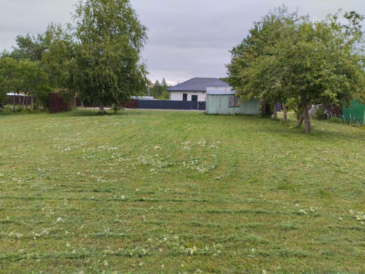 Sodą bendrijoje Lelija - nuotraukos Nr. 11