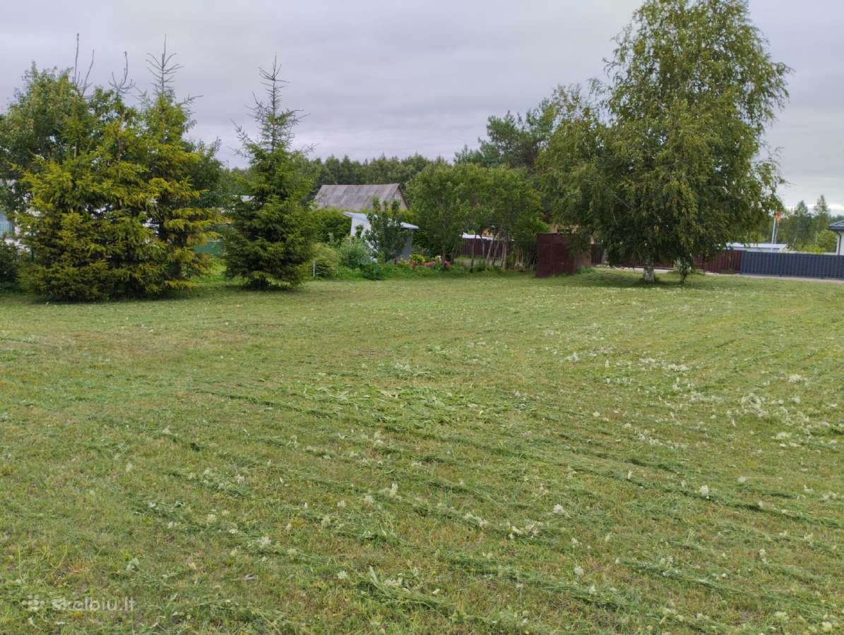 Sodą bendrijoje Lelija - nuotraukos Nr. 12