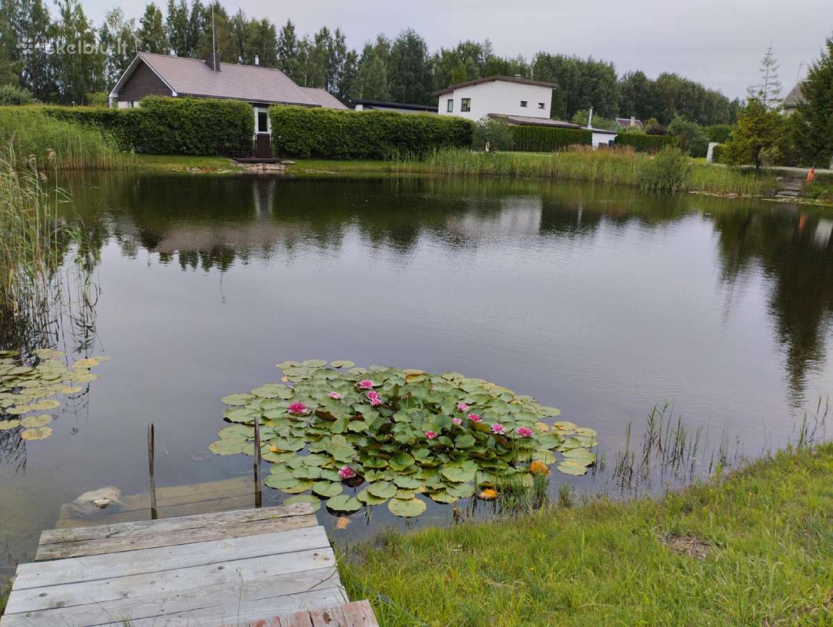 Sodą bendrijoje Lelija - nuotraukos Nr. 14