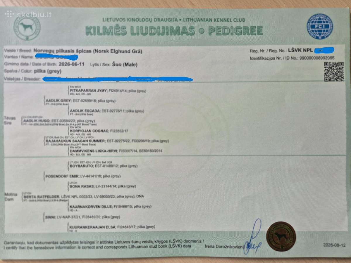 Pirmoji Norvegų Elkhundų vada Lietuvoje - nuotraukos Nr. 7