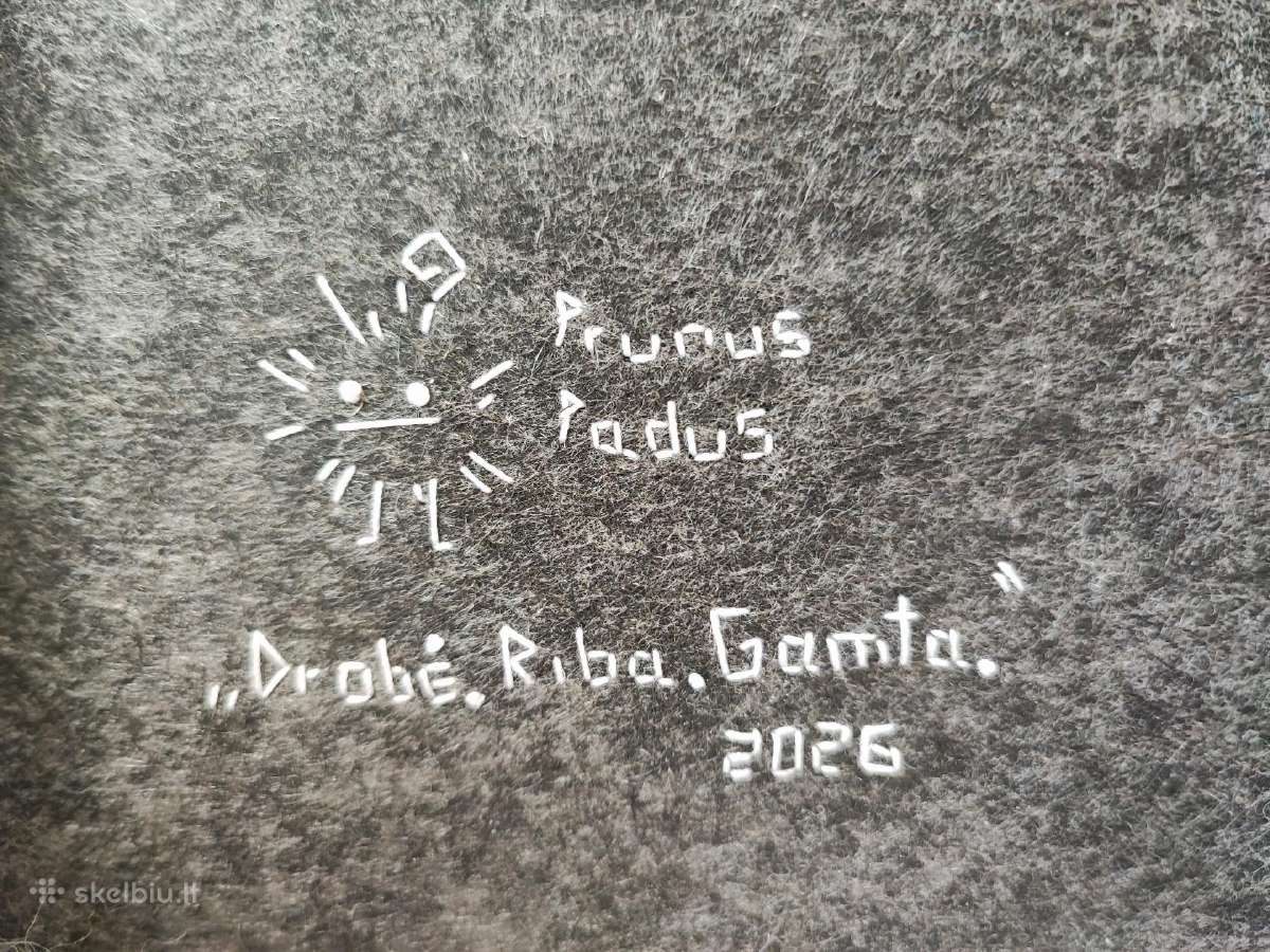 Vilnos paveikslas - nuotraukos Nr. 5