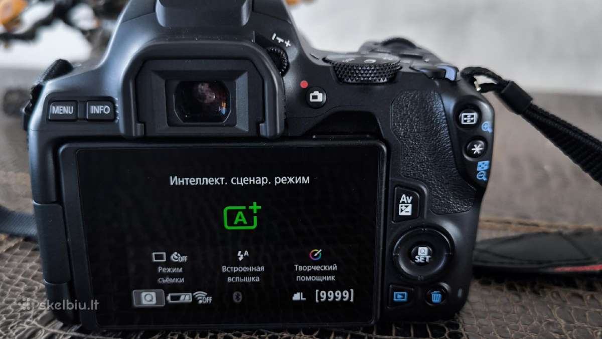 Canon EOS 250d +Canon Ef-s 18-135 Is Nanousm - nuotraukos Nr. 7