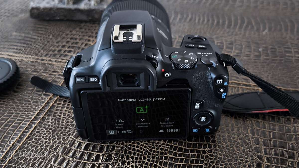 Canon EOS 250d +Canon Ef-s 18-135 Is Nanousm - nuotraukos Nr. 8