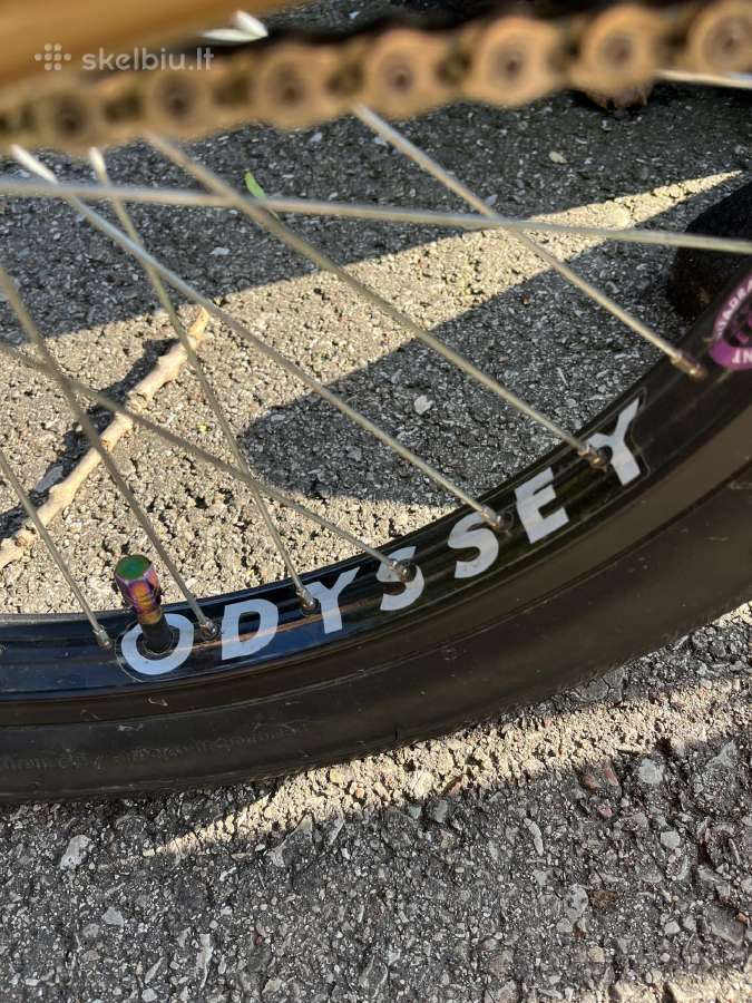 BMX dviratis - nuotraukos Nr. 11