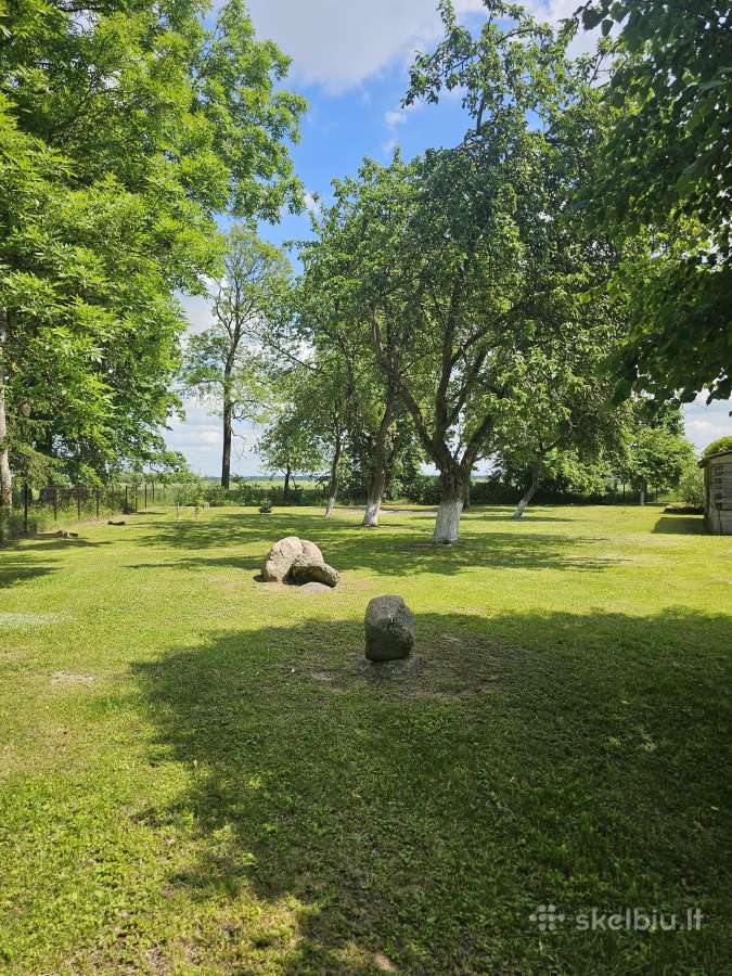 Parduodama sodyba su 2.05 ha žemės sklypu - nuotraukos Nr. 6