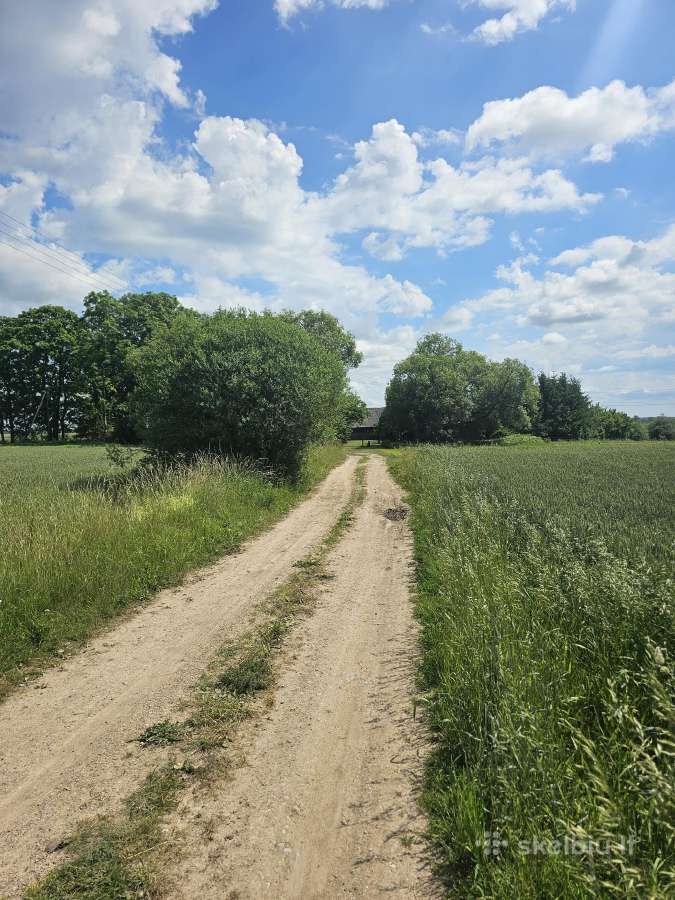 Parduodama sodyba su 2.05 ha žemės sklypu - nuotraukos Nr. 19