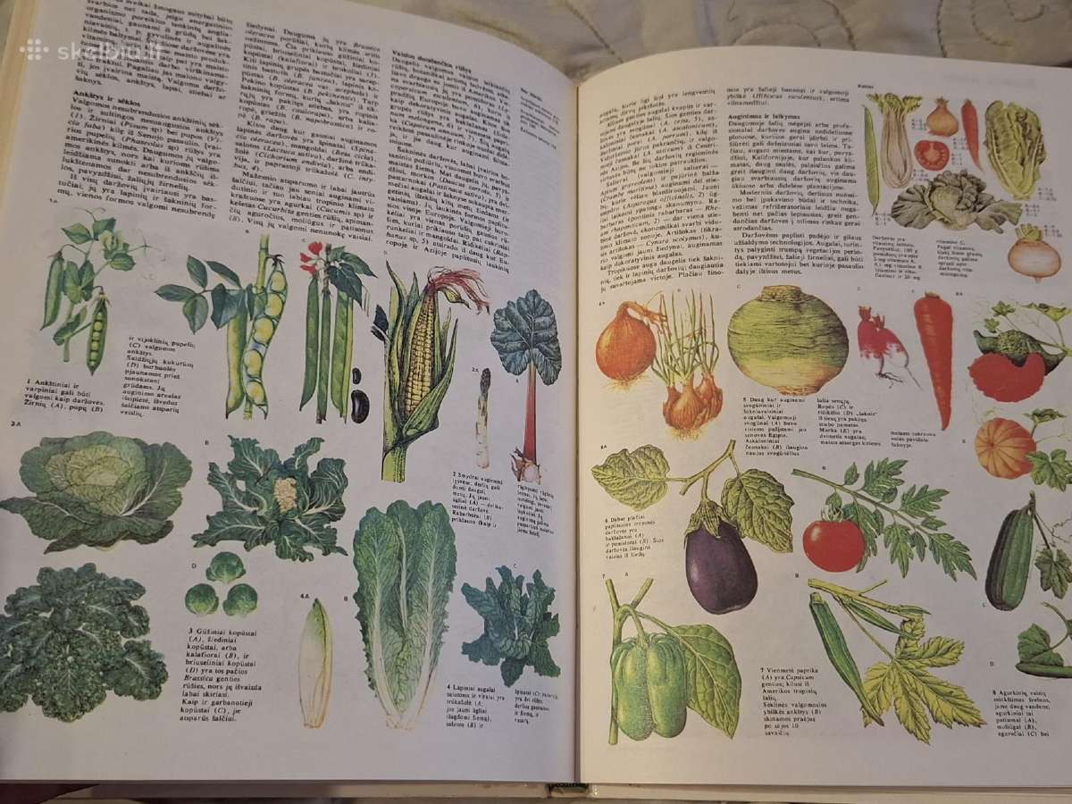 Pažinimo džiaugsmas - nuotraukos Nr. 6