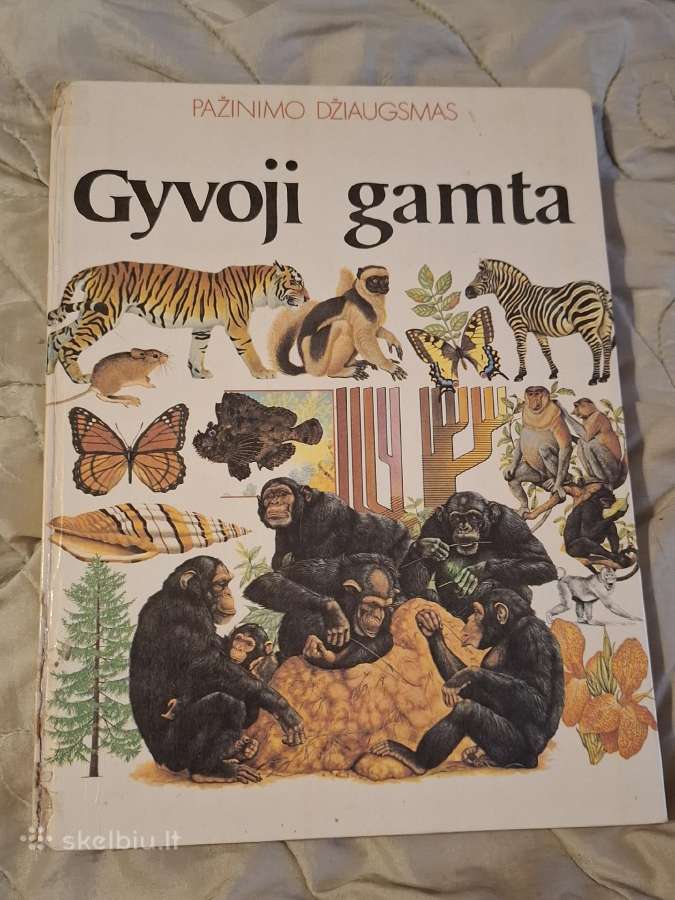 Pažinimo džiaugsmas - nuotraukos Nr. 11