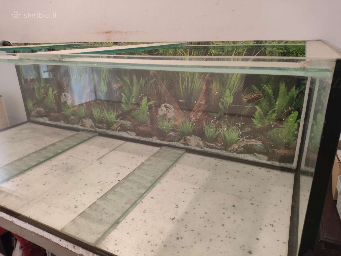 Didelis akvariumas su stovu - nuotraukos Nr. 4