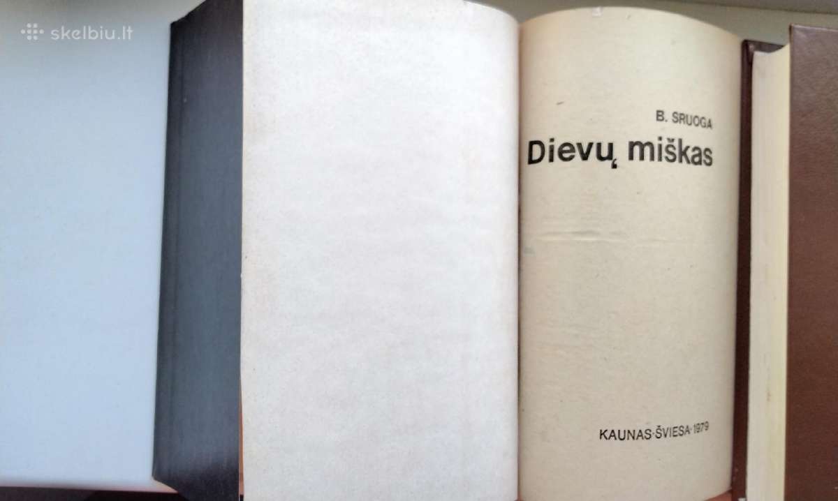 B. Sruoga. Dievų miškas. 1979 m. leid. - nuotraukos Nr. 2