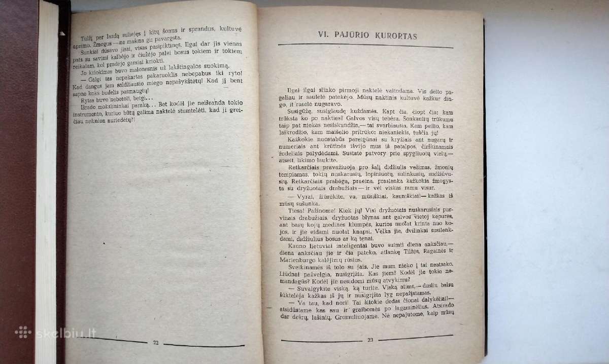 B. Sruoga. Dievų miškas. 1979 m. leid. - nuotraukos Nr. 7