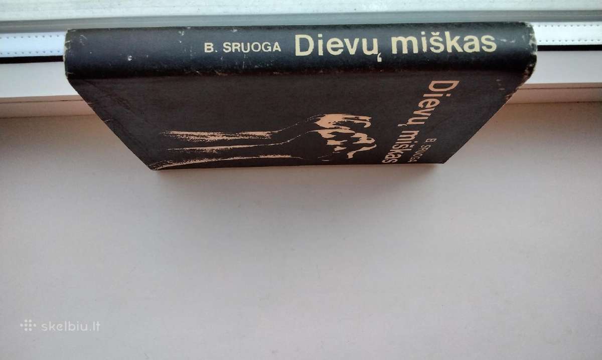 B. Sruoga. Dievų miškas. 1979 m. leid. - nuotraukos Nr. 12
