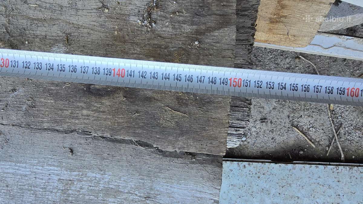 Ąžuolinės blankės, ąžuolo kelmai-kamienai - nuotraukos Nr. 5