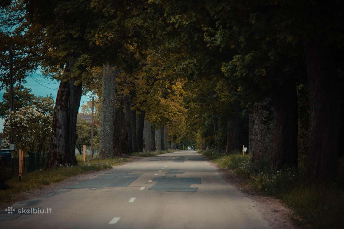 Canon 1100d + Canon 18–55 mm f/3.5–5.6 Is II - nuotraukos Nr. 15