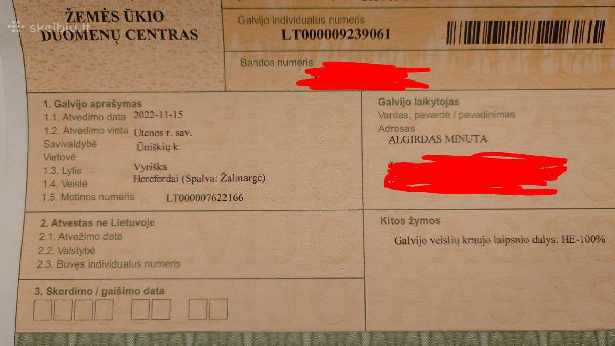 Herefordas - nuotraukos Nr. 5