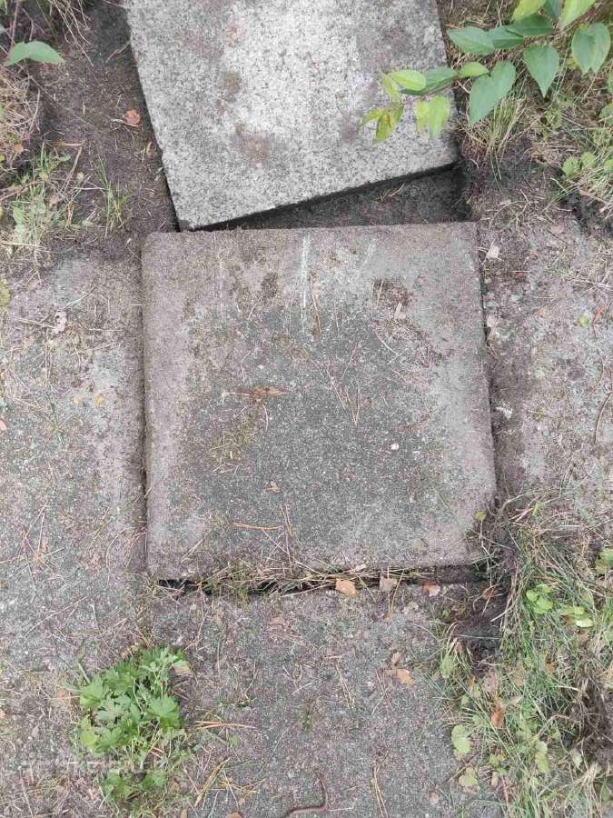 Atiduodu lauko plyteles - nuotraukos Nr. 2