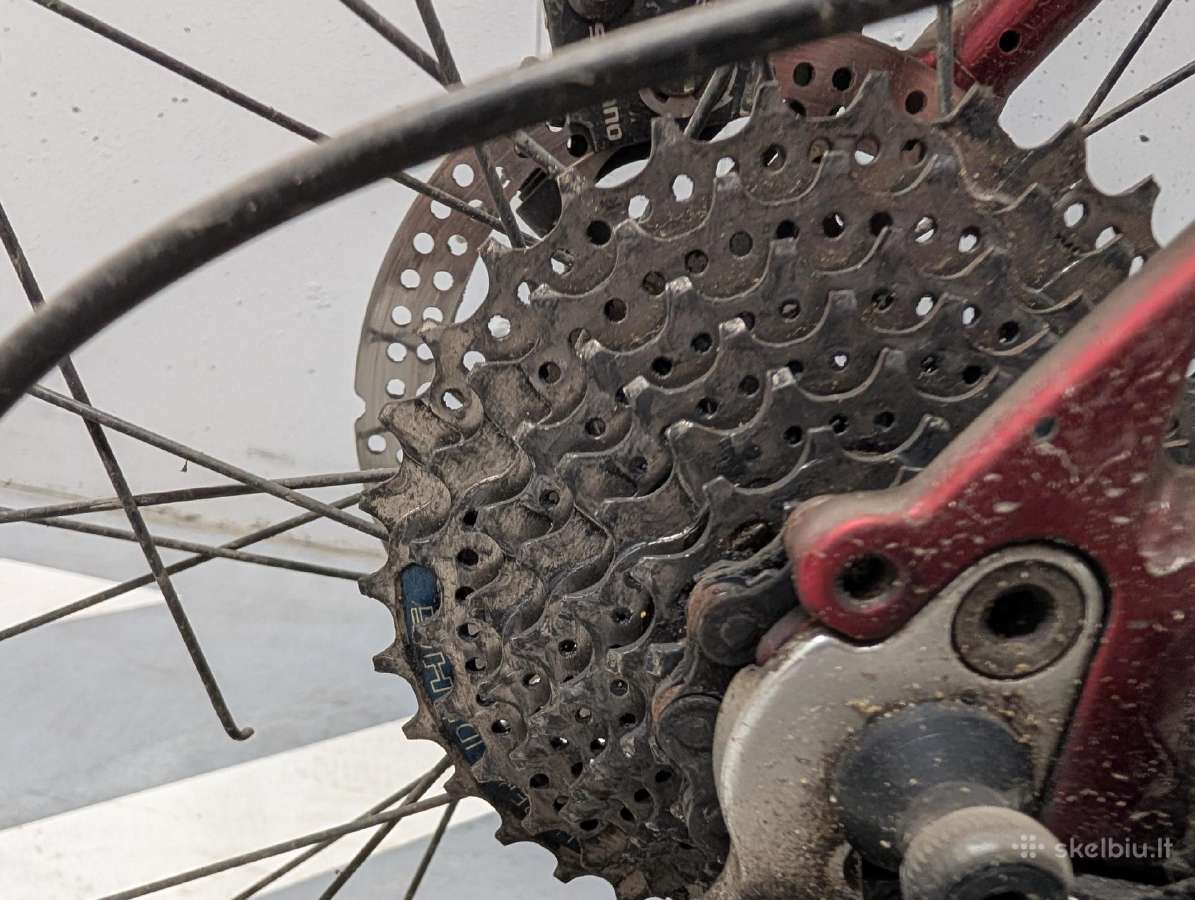 MTB dviratis - nuotraukos Nr. 6