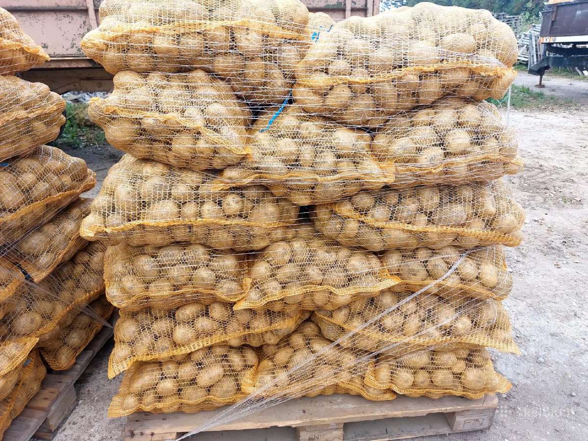 Bulvės - nuotraukos Nr. 7
