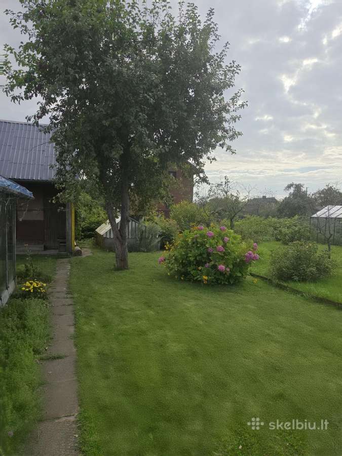 Sodas Vaiteliuose - nuotraukos Nr. 10