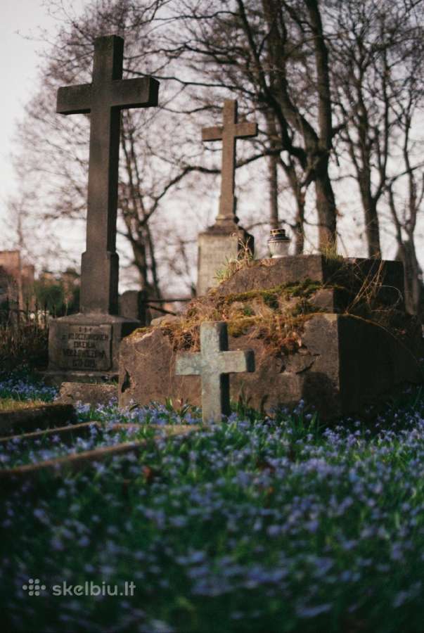 Minolta Af (Sony A) 50mm F1.4 - nuotraukos Nr. 7