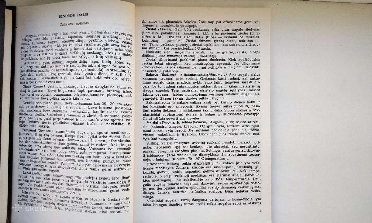 Augalų gydomosios savybės. Augalai ir kosmetika - nuotraukos Nr. 35