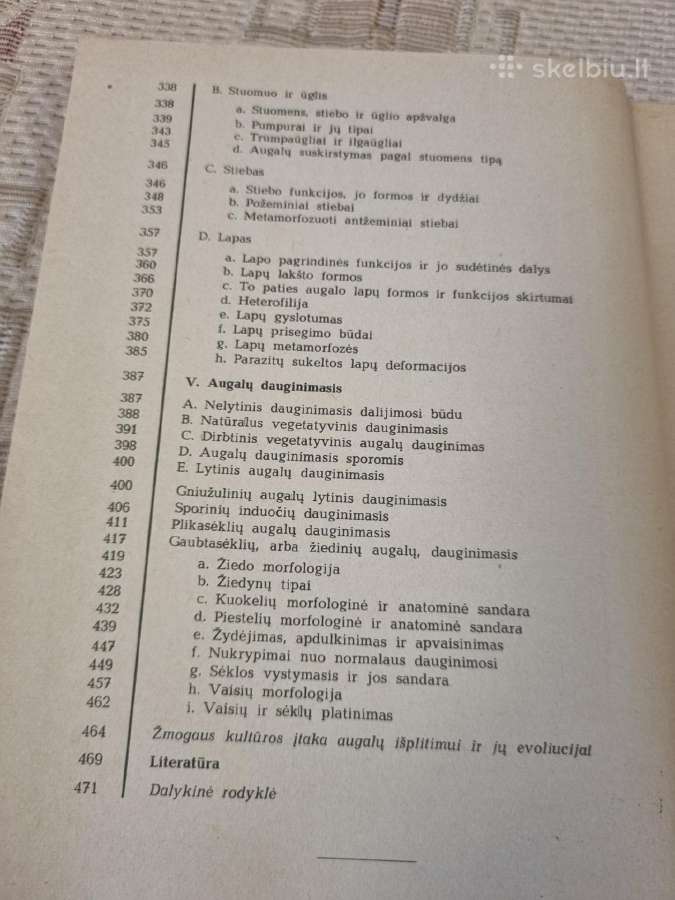 Augalų anatomija ir morfologija - nuotraukos Nr. 6