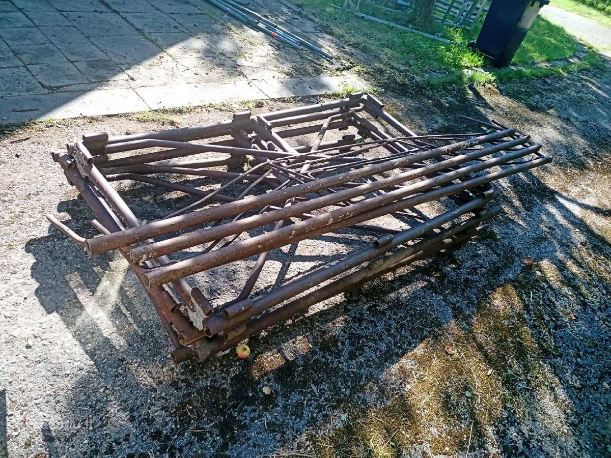 Rusiški pastoliai - nuotraukos Nr. 3
