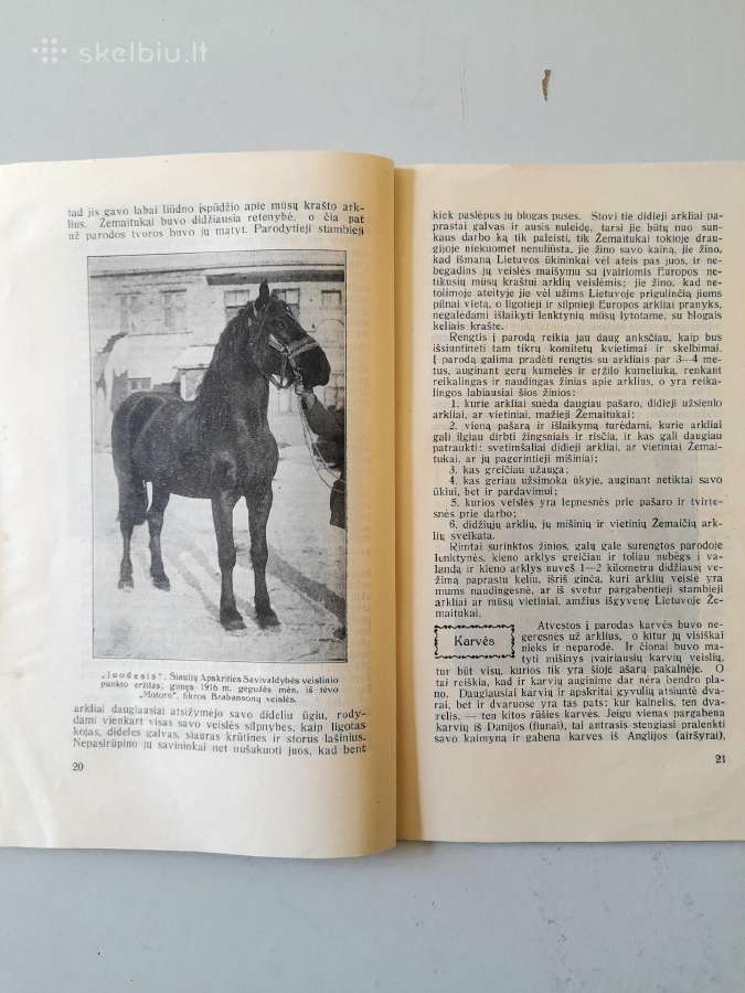 "Ūkio Parodos" 1922m Kultūros b-vės leidinys - nuotraukos Nr. 4