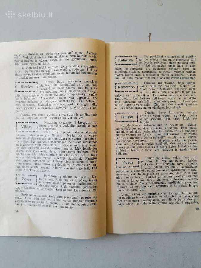 "Ūkio Parodos" 1922m Kultūros b-vės leidinys - nuotraukos Nr. 5