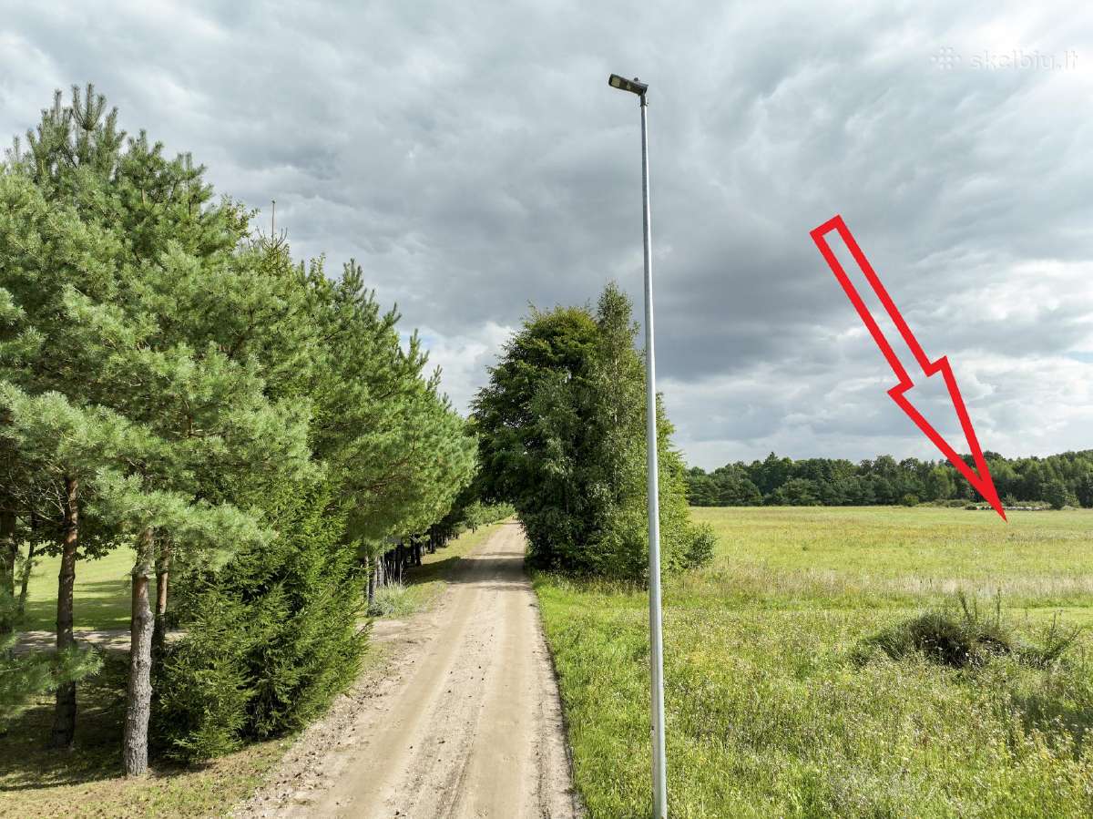 Sklypas Agluonėnuose vos 9600 eur, tarp miškų! - nuotraukos Nr. 7