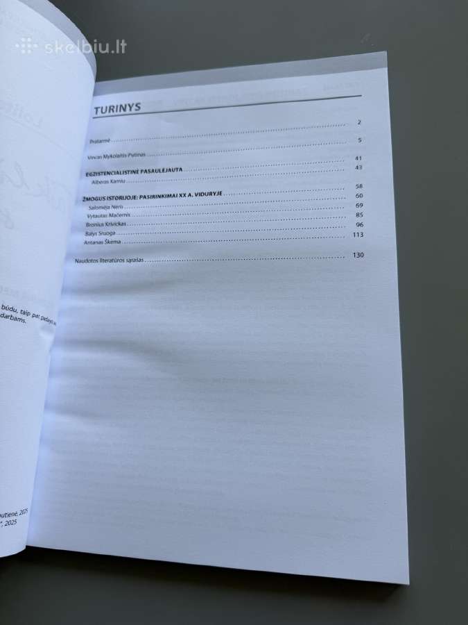 Taiklios plunksnos strategija 12 klasei – I dalis - nuotraukos Nr. 2
