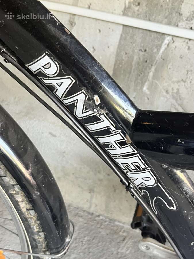 Panther hibridinis dviratis - nuotraukos Nr. 3