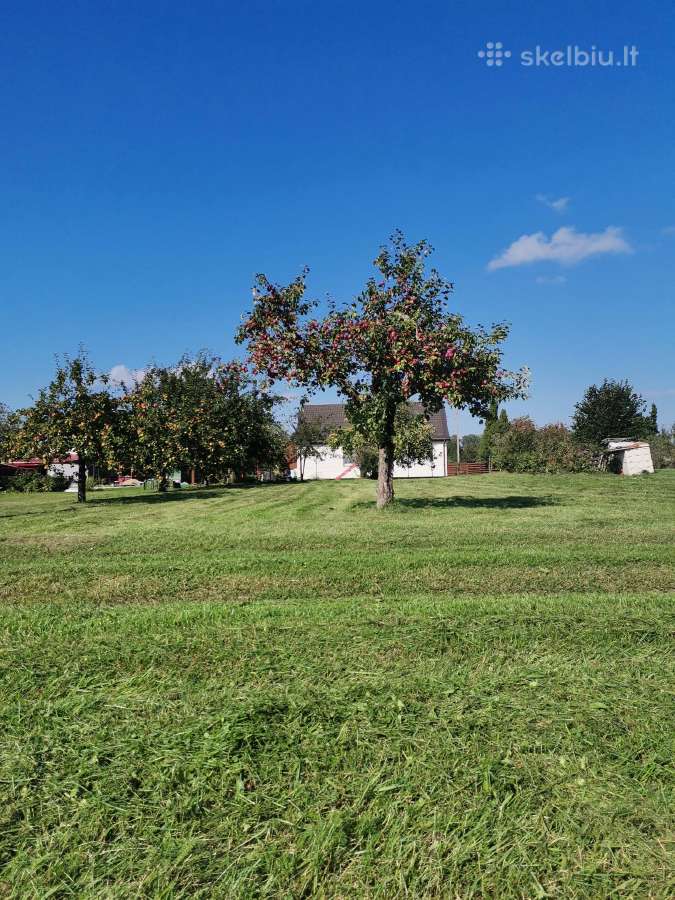 Parduodamas žemės sklypas - nuotraukos Nr. 2