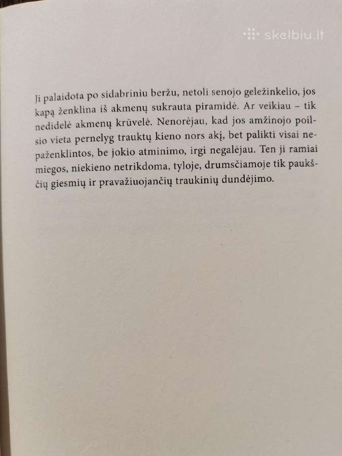 Knyga: "Mergina traukiny" Paula Hawkins - nuotraukos Nr. 4