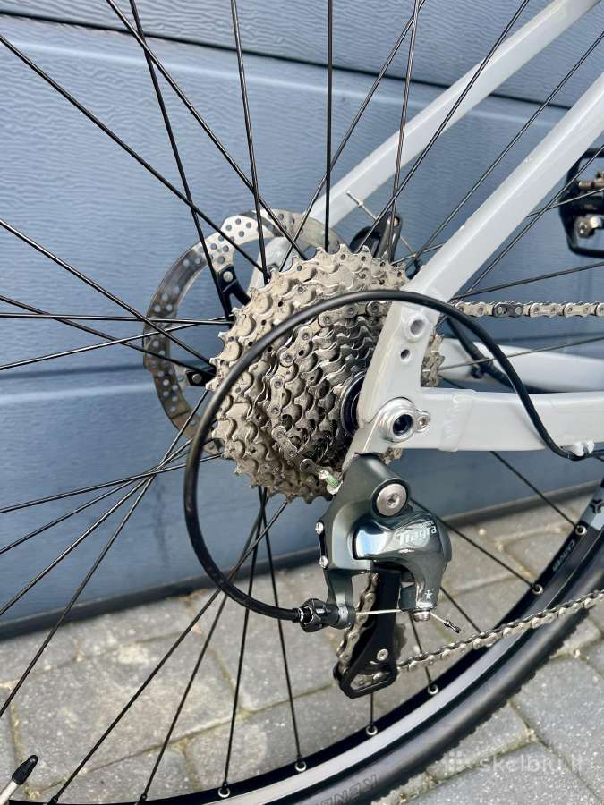 Carver Gravel 100 Street M dydis - nuotraukos Nr. 6