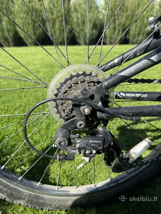 Trek dviratis - nuotraukos Nr. 3