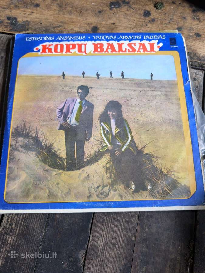 Vinilines ploksteles - nuotraukos Nr. 5