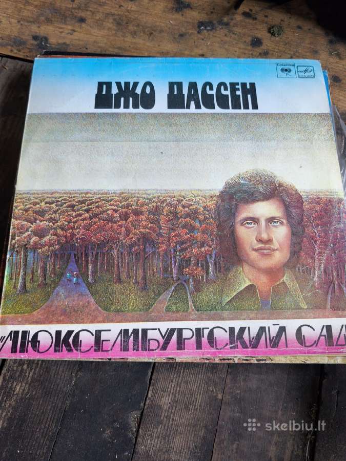 Vinilines ploksteles - nuotraukos Nr. 16