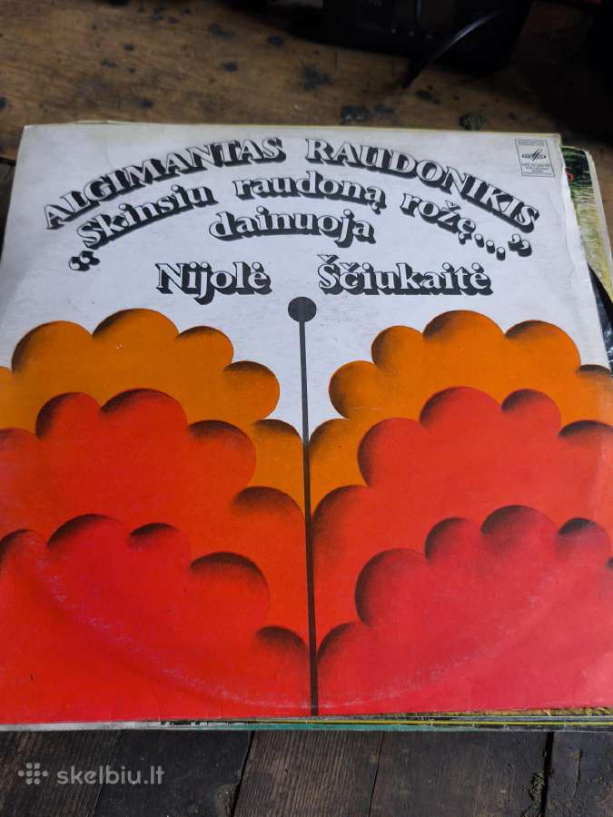 Vinilines ploksteles - nuotraukos Nr. 33