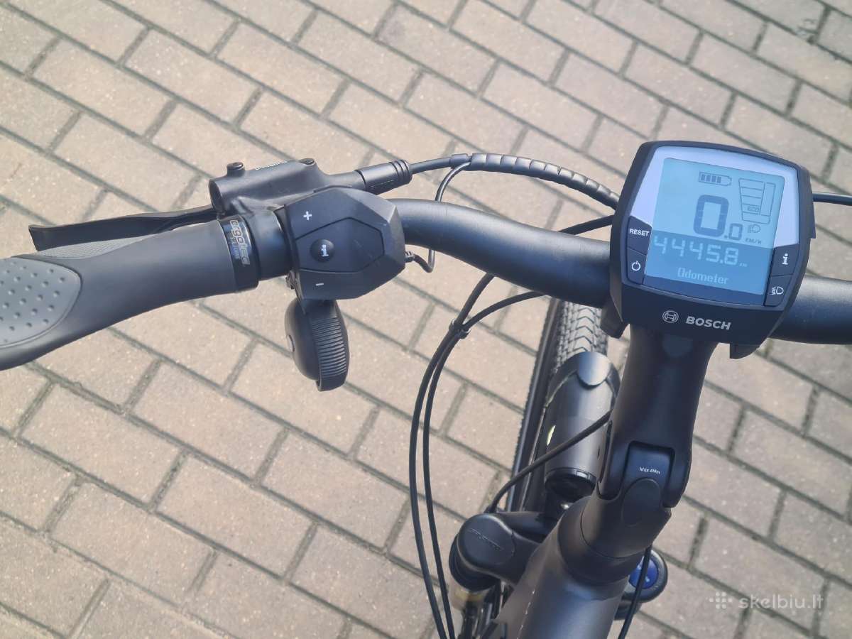 Kalkhoff image 3.b Excite XL/60 diržas - nuotraukos Nr. 11