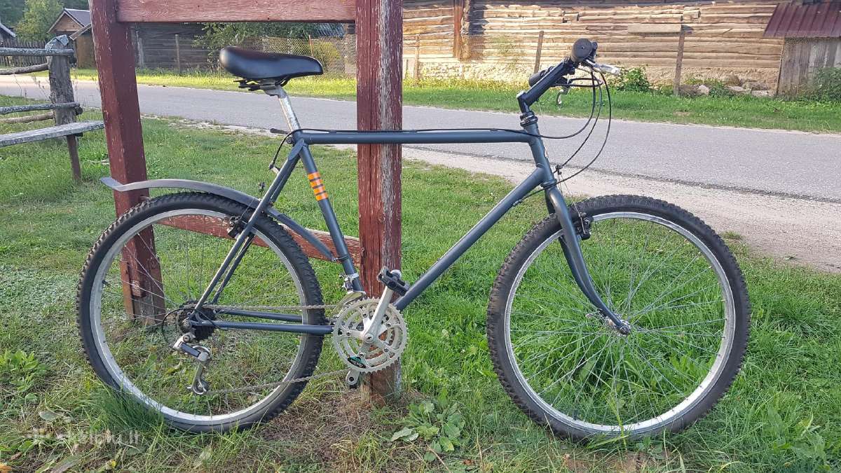 Raleigh MTB dviratis - nuotraukos Nr. 2