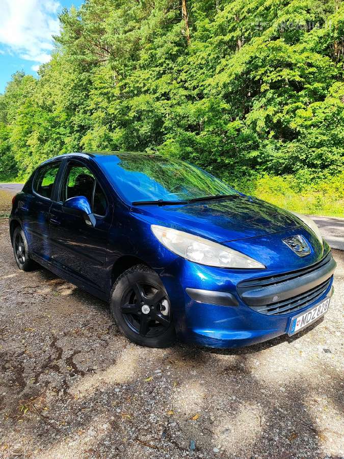 Peugeot 207 1.4 hdi 2009 - nuotraukos Nr. 8