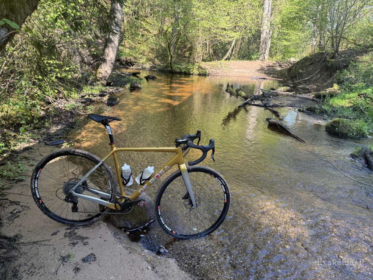 De Rosa gravel Campagnolo ekar 54 - nuotraukos Nr. 7