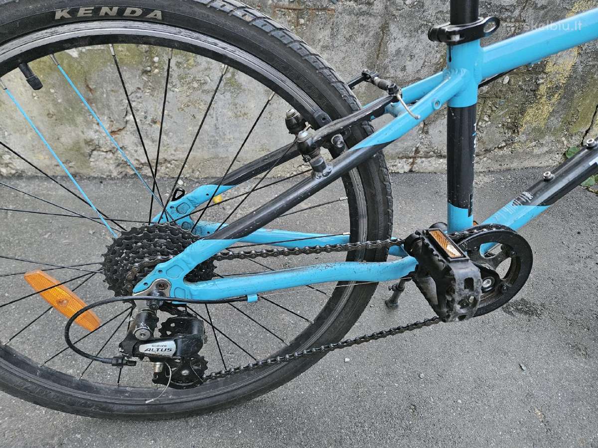 Team Sky dviratis - nuotraukos Nr. 3