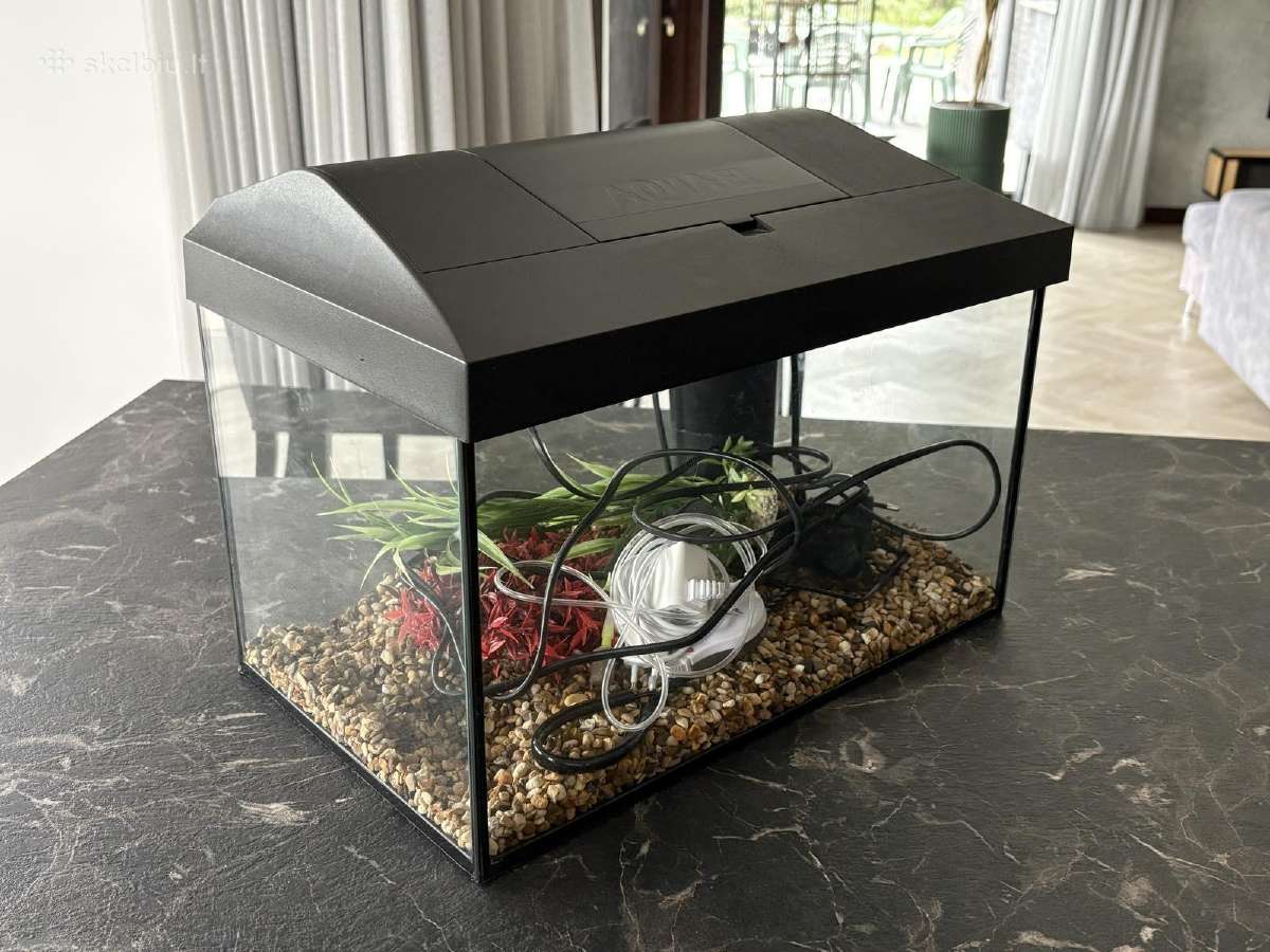 Akvariumas - nuotraukos Nr. 2